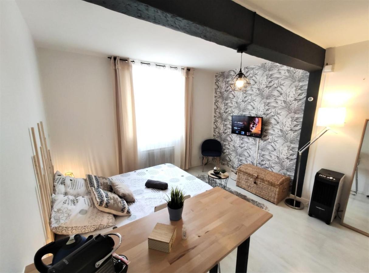 Le Jasmin Des Carmes - Hypercentre - Netflix Appartement Toulouse Buitenkant foto